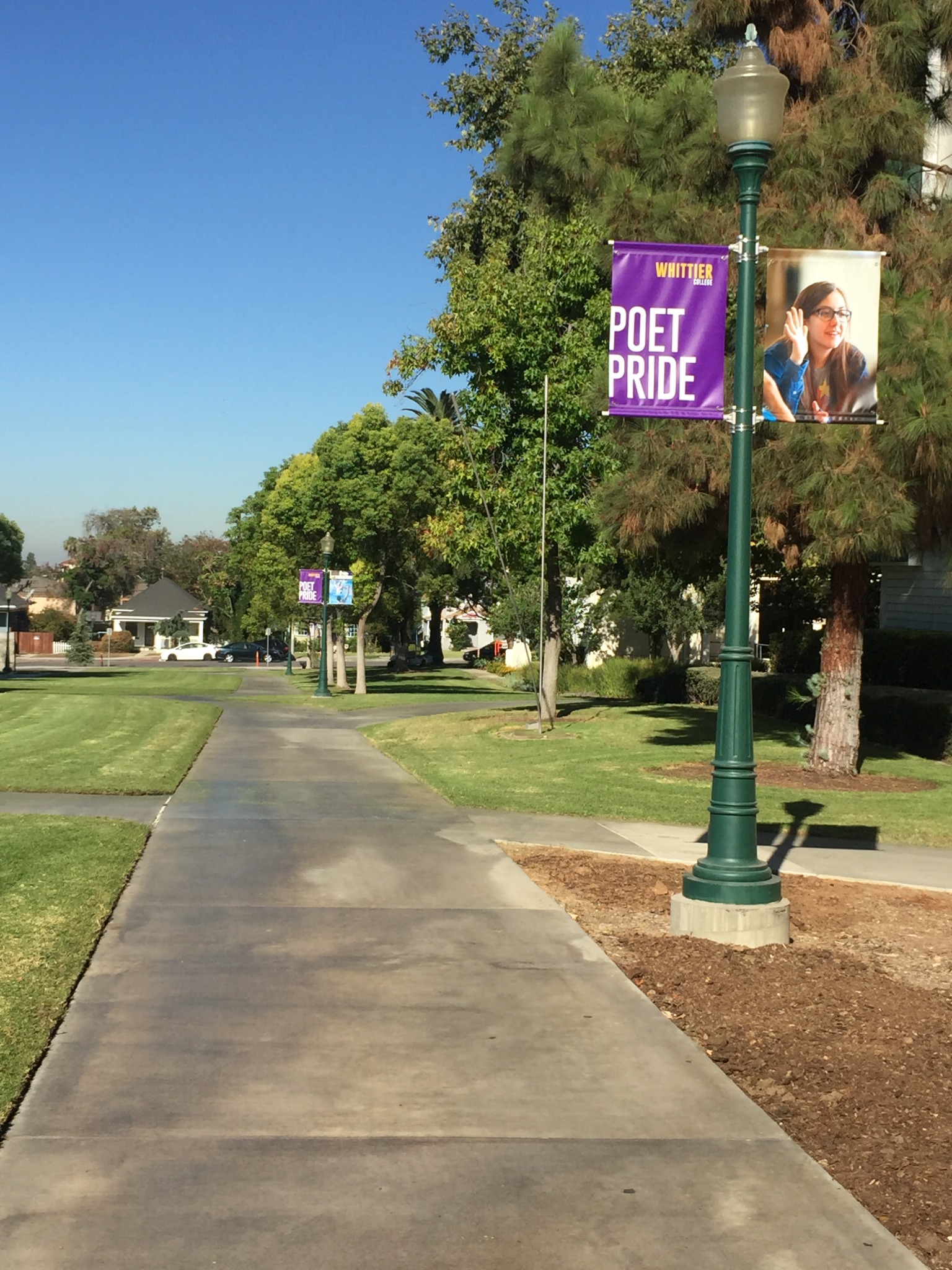 Campus pole banners