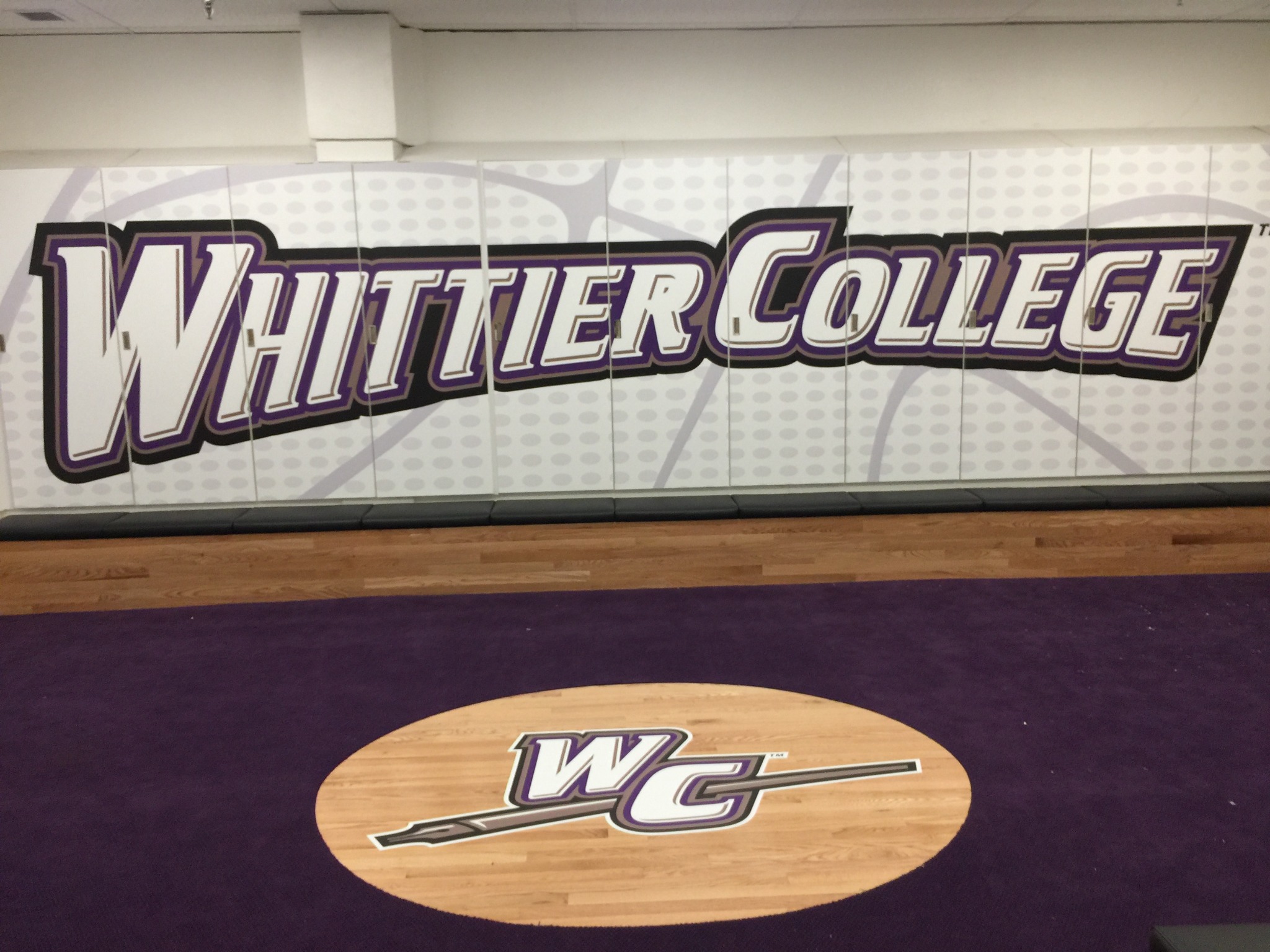 Coordinated wall and floor graphics